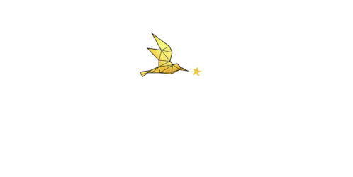 Seagull and Starfish Productions